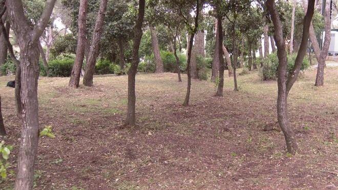Quando la litoranea diventa un cimitero di rifiuti abbandonati
