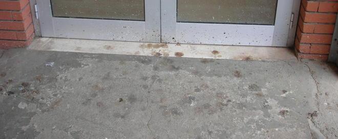 Guano all’ingresso dell’ambulatorio