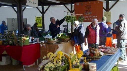Mercato della terra e del mare