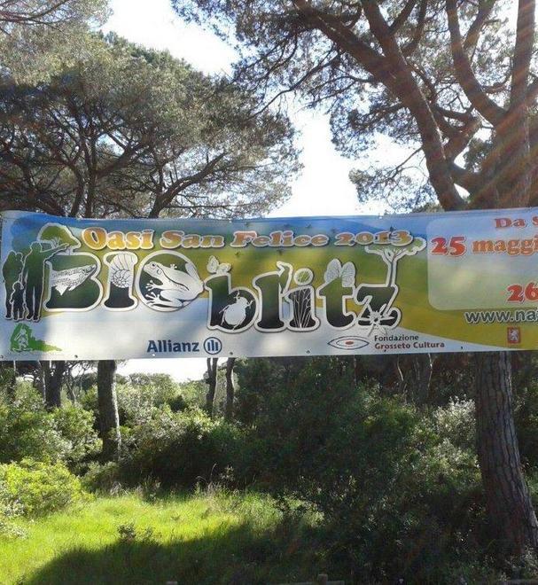 Una notte tra dune e pineta per scoprire l’oasi del Wwf 