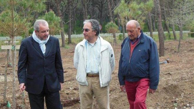 Con pinetina e parcheggio Canova rinasce per l’estate