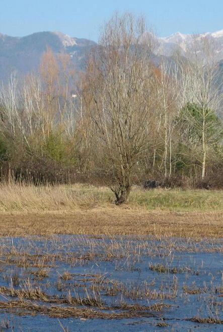 Alla scoperta del lago di Porta con mostre e passeggiate