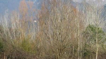 Alla scoperta del lago di Porta con mostre e passeggiate