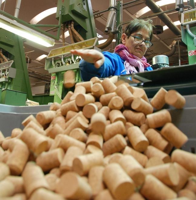 Sughero tra crisi e sviluppo: i grillini incontrano le imprese