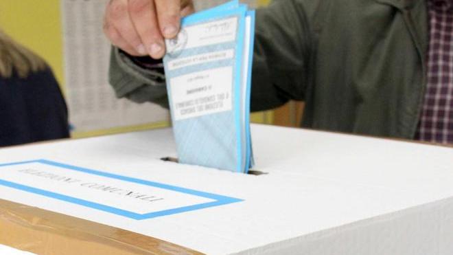 Comunali Viareggio, i profili dei 13 candidati