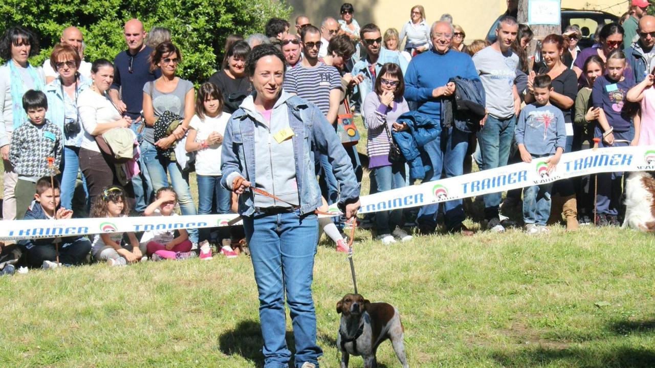 Cani, amore e fantasia: al Cisternino sfila l’orgoglio meticcio