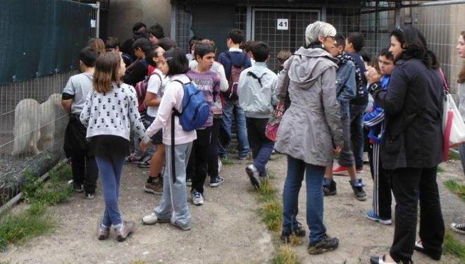 Bambini e animali tra visite al canile e film sui beagle