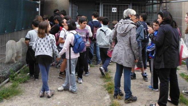 Bambini e animali tra visite al canile e film sui beagle