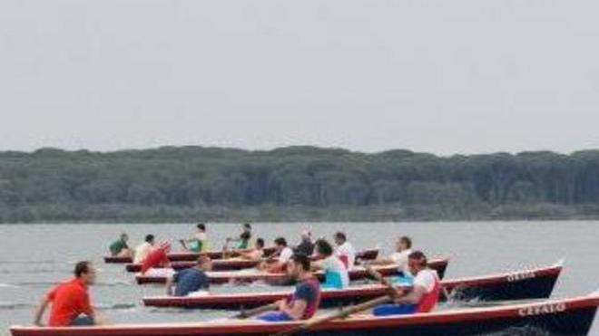 Corsa dei Barchini edizione numero 110 La sfida remiera dà spettacolo in laguna