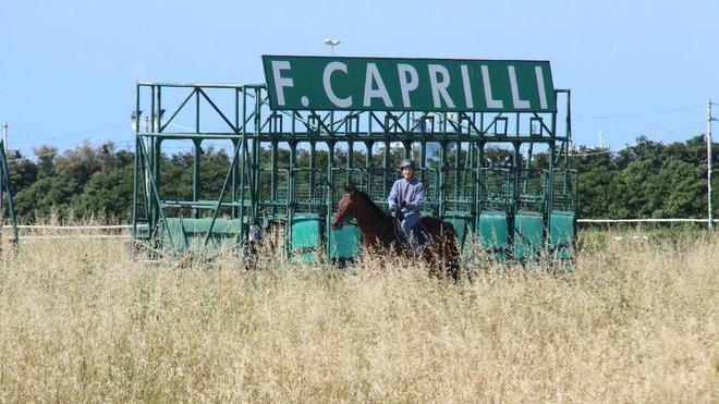 Labronica, i lavoratori rischiano il posto. E l’ippodromo è ko