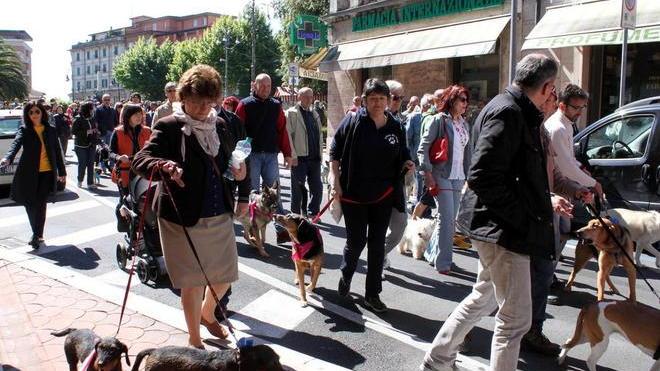 Un successo il Dog Pride Day