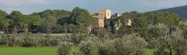 Piante in mostra a Casalappi