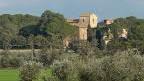 Piante in mostra a Casalappi
