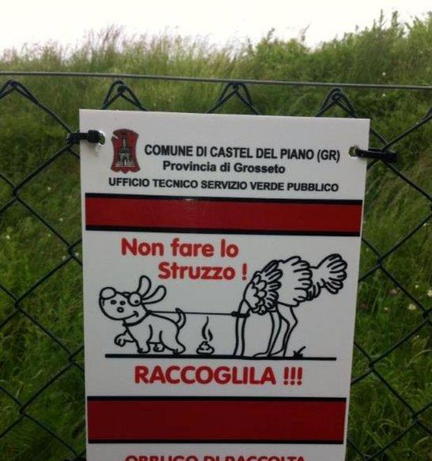 Al Campogrande un parco per Fido 