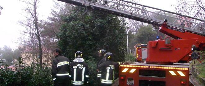 Tiglio, subito il taglio delle piante per evitare altri incidenti 