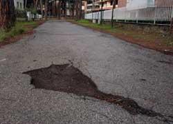 Via le buche dalle strade (e forse anche i pini) 