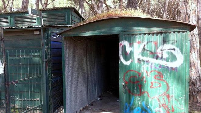 Vecchia baracca in pineta diventa bagno pubblico