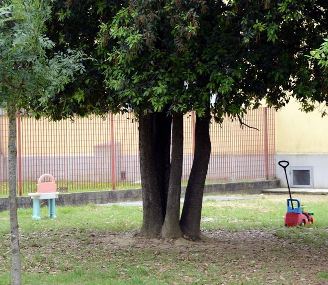 Bimbo bloccato su un albero mentre gioca 