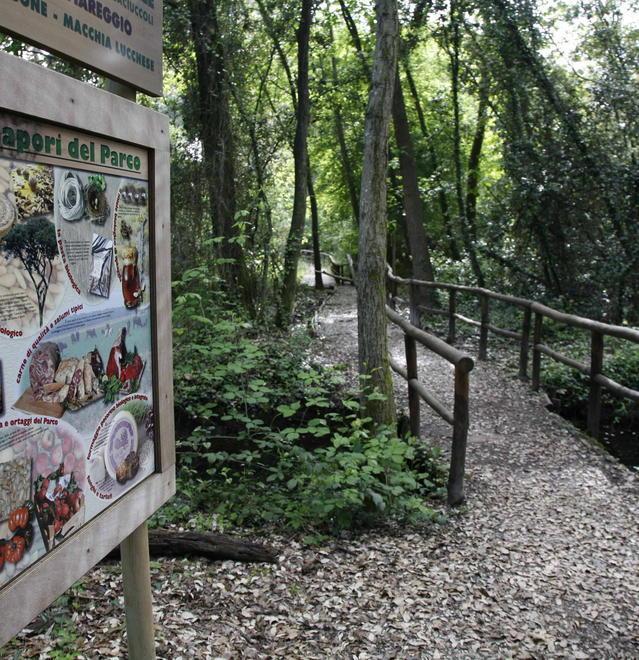Nuove passerelle e staccionate dentro il Parco