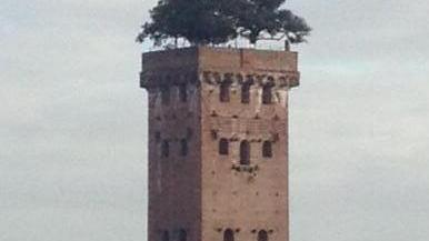 Biglietto unico per visitare tutti i musei di Lucca