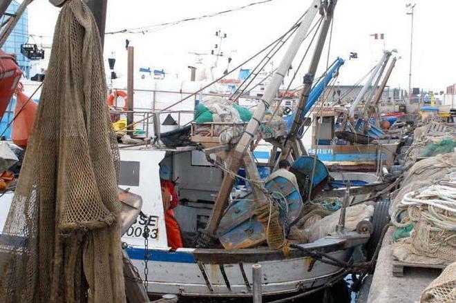 E la Coop scommette sul pescato locale