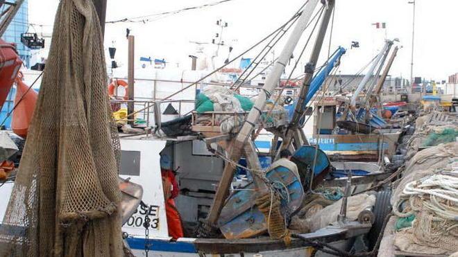 E la Coop scommette sul pescato locale