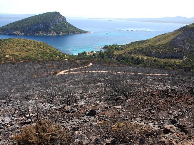 Incendio a Golfo Aranci, c’è un indagato per il rogo 