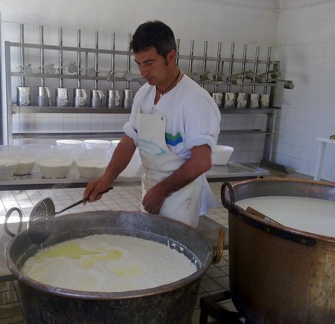 A Gonnostramatza incontro sul prezzo del latte