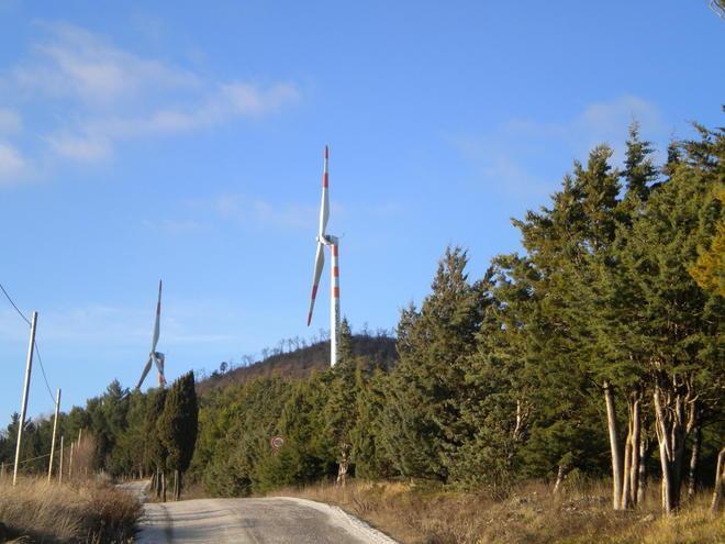 «Eolico a Poggio Pelato, solo un progetto» 