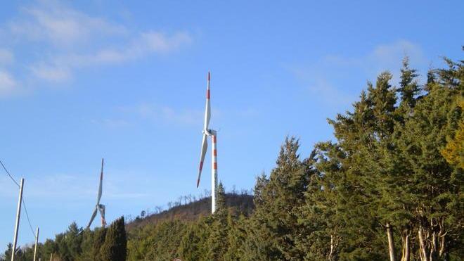 «Eolico a Poggio Pelato, solo un progetto»