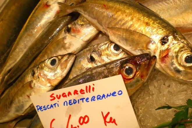 Muggini, aguglie, barracuda: pesci dimenticati alla riscossa 
