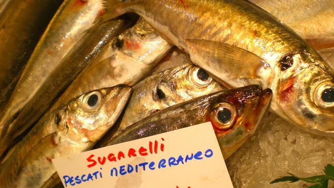 Muggini, aguglie, barracuda: pesci dimenticati alla riscossa