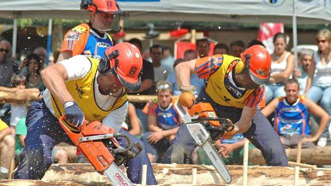 Sfida a colpi di accetta: i boscaioli tornano in campo a Prato
