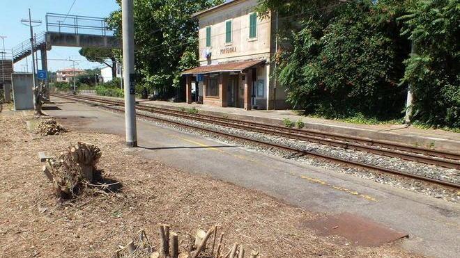 Decapitato tutto il verde, alla stazione di Populonia