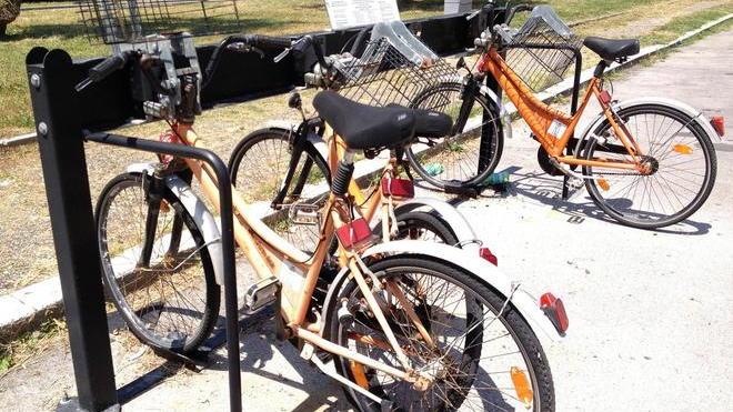 Quelle bici sparse in città sono un accumulo di ruggine
