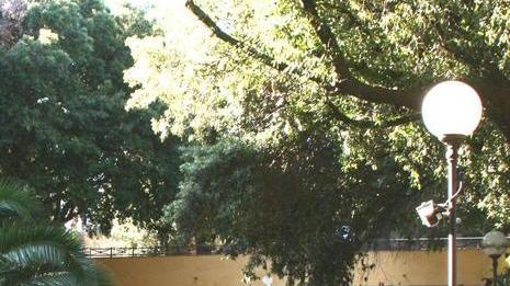 Ritardi e rimpalli così la Limonaia in estate resta chiusa