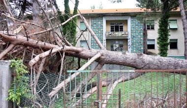 Ex colonia Laveno nel degrado, il Comune multa l’Asl 