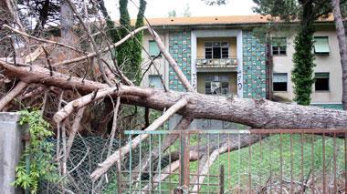 Ex colonia Laveno nel degrado, il Comune multa l’Asl