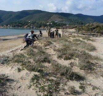 Le dune di Lacona all’asta Intesa col Parco a rischio 