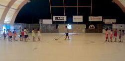 Alla scoperta dei segreti dell’hockey 