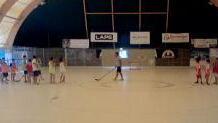 Alla scoperta dei segreti dell’hockey
