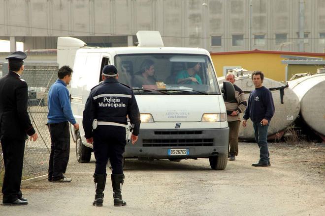 Custoditi in area totale incuria, sequestrati due cani 