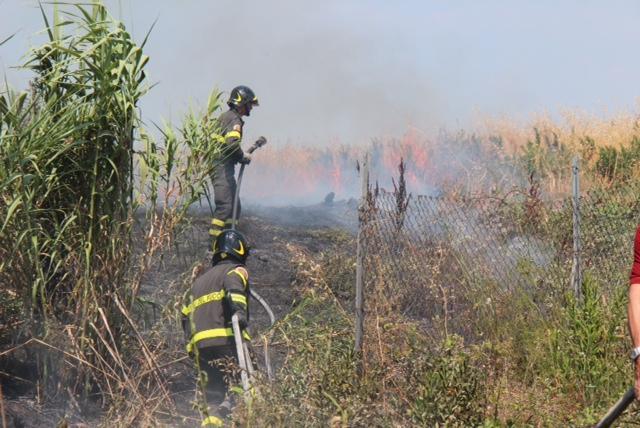 Incendio al Cisternino: è caccia al piromane