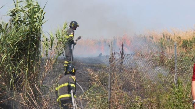 Incendio al Cisternino: è caccia al piromane