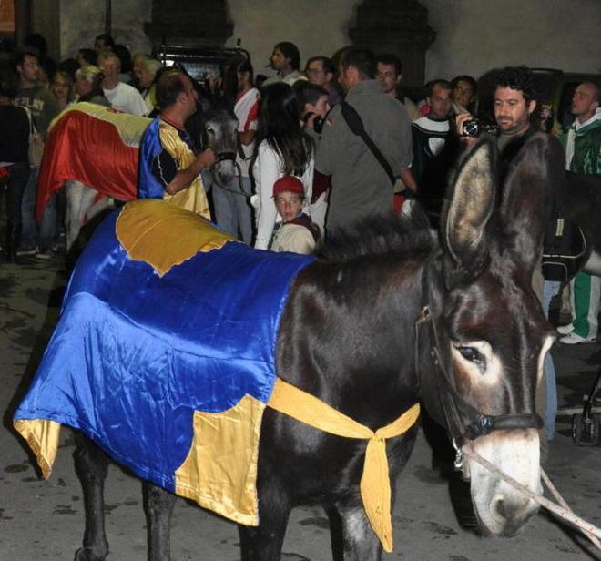 Corse dei ciuchi, bocciati gli animalisti 