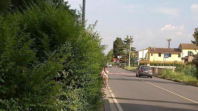 La siepe cresciuta diventa un pericolo