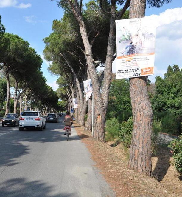 Invasione di cartelli pubblicitari a Marina: chi vigila sul decoro? 