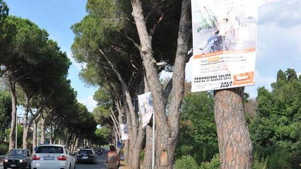 Invasione di cartelli pubblicitari a Marina: chi vigila sul decoro?