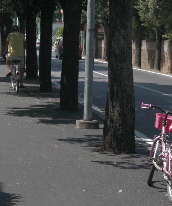 Bici selvaggia sulle strisce pedonali 