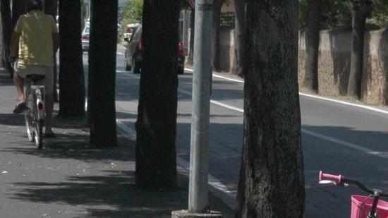 Bici selvaggia sulle strisce pedonali